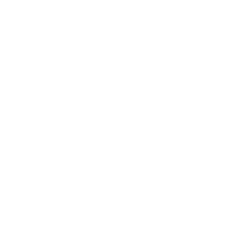 STEP01