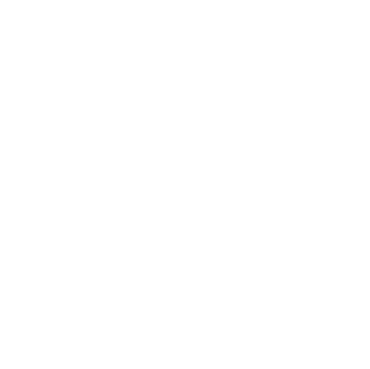 STEP03