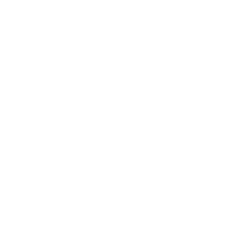 STEP04