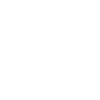 STEP06